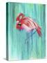 Flamingo-Michelle Faber-Stretched Canvas