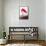 Flamingo-John James Audubon-Framed Stretched Canvas displayed on a wall