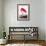 Flamingo-John James Audubon-Framed Art Print displayed on a wall