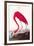 Flamingo-John James Audubon-Framed Art Print