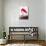 Flamingo-John James Audubon-Mounted Art Print displayed on a wall