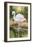 Flamingo-Unknown Unknown-Framed Art Print