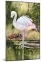 Flamingo-Unknown Unknown-Mounted Art Print