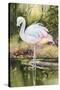 Flamingo-Unknown Unknown-Stretched Canvas