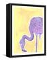 Flamingo-Max Lundén-Framed Stretched Canvas