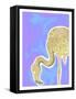 Flamingo-Max Lundén-Framed Stretched Canvas