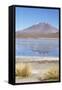 Flamingoes at Laguna Adeyonda on Altiplano, Potosi Department, Bolivia, South America-Ian Trower-Framed Stretched Canvas