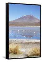 Flamingoes at Laguna Adeyonda on Altiplano, Potosi Department, Bolivia, South America-Ian Trower-Framed Stretched Canvas