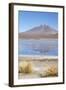 Flamingoes at Laguna Adeyonda on Altiplano, Potosi Department, Bolivia, South America-Ian Trower-Framed Photographic Print