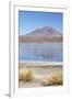 Flamingoes at Laguna Adeyonda on Altiplano, Potosi Department, Bolivia, South America-Ian Trower-Framed Photographic Print