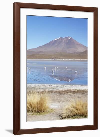 Flamingoes at Laguna Adeyonda on Altiplano, Potosi Department, Bolivia, South America-Ian Trower-Framed Photographic Print