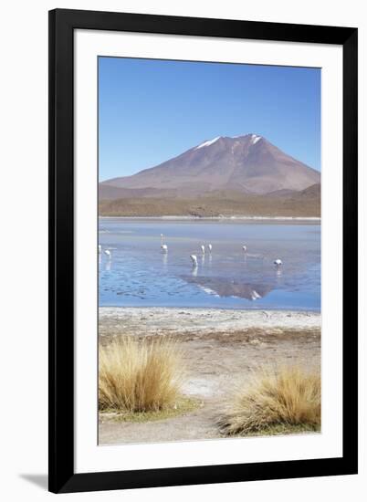 Flamingoes at Laguna Adeyonda on Altiplano, Potosi Department, Bolivia, South America-Ian Trower-Framed Photographic Print