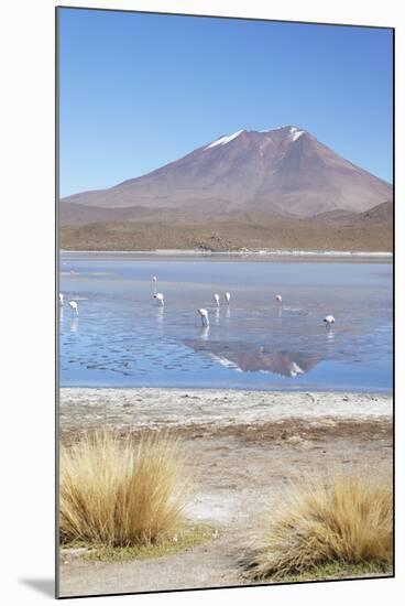 Flamingoes at Laguna Adeyonda on Altiplano, Potosi Department, Bolivia, South America-Ian Trower-Mounted Photographic Print