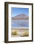 Flamingoes at Laguna Adeyonda on Altiplano, Potosi Department, Bolivia, South America-Ian Trower-Framed Photographic Print