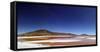 Flamingoes, Bolivian desert, Bolivia-Anthony Asael-Framed Stretched Canvas