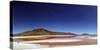 Flamingoes, Bolivian desert, Bolivia-Anthony Asael-Stretched Canvas