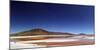 Flamingoes, Bolivian desert, Bolivia-Anthony Asael-Mounted Photographic Print