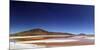 Flamingoes, Bolivian desert, Bolivia-Anthony Asael-Mounted Photographic Print