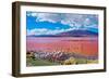 Flamingoes in Laguna Colorada , Uyuni, Bolivia-Byelikova Oksana-Framed Photographic Print