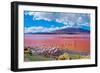 Flamingoes in Laguna Colorada , Uyuni, Bolivia-Byelikova Oksana-Framed Photographic Print