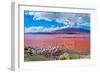 Flamingoes in Laguna Colorada , Uyuni, Bolivia-Byelikova Oksana-Framed Photographic Print