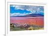 Flamingoes in Laguna Colorada , Uyuni, Bolivia-Byelikova Oksana-Framed Photographic Print