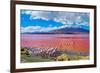 Flamingoes in Laguna Colorada , Uyuni, Bolivia-Byelikova Oksana-Framed Photographic Print