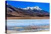 Flamingoes in Laguna Verde ,Bolivia-nok3709001-Stretched Canvas