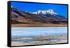 Flamingoes in Laguna Verde ,Bolivia-nok3709001-Framed Stretched Canvas