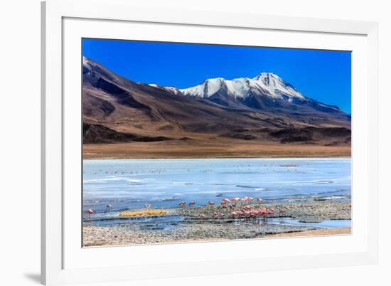 Flamingoes in Laguna Verde ,Bolivia-nok3709001-Framed Photographic Print