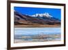 Flamingoes in Laguna Verde ,Bolivia-nok3709001-Framed Photographic Print