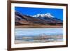 Flamingoes in Laguna Verde ,Bolivia-nok3709001-Framed Photographic Print