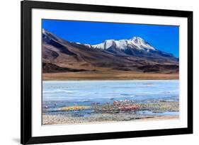 Flamingoes in Laguna Verde ,Bolivia-nok3709001-Framed Photographic Print