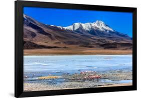 Flamingoes in Laguna Verde ,Bolivia-nok3709001-Framed Photographic Print