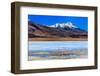 Flamingoes in Laguna Verde ,Bolivia-nok3709001-Framed Photographic Print