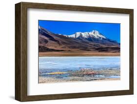 Flamingoes in Laguna Verde ,Bolivia-nok3709001-Framed Photographic Print