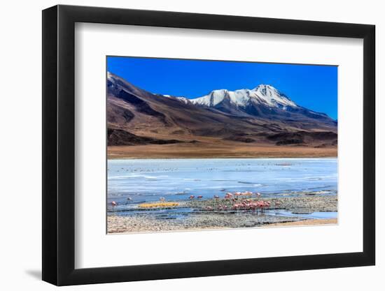 Flamingoes in Laguna Verde ,Bolivia-nok3709001-Framed Photographic Print