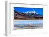 Flamingoes in Laguna Verde ,Bolivia-nok3709001-Framed Photographic Print