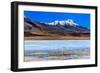 Flamingoes in Laguna Verde ,Bolivia-nok3709001-Framed Photographic Print