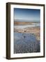 Flamingoes in Shallow Water at Laguna De Chaxa (Chaxa Lake) at Dawn, San Pedro, Chile-Kimberly Walker-Framed Photographic Print