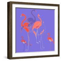 Flamingoes-Anna Platts-Framed Giclee Print