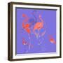 Flamingoes-Anna Platts-Framed Giclee Print