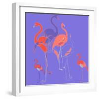 Flamingoes-Anna Platts-Framed Giclee Print