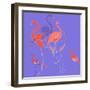 Flamingoes-Anna Platts-Framed Premium Giclee Print