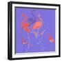 Flamingoes-Anna Platts-Framed Premium Giclee Print