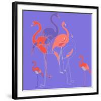 Flamingoes-Anna Platts-Framed Giclee Print