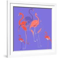 Flamingoes-Anna Platts-Framed Giclee Print