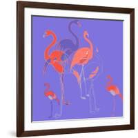 Flamingoes-Anna Platts-Framed Giclee Print