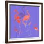 Flamingoes-Anna Platts-Framed Giclee Print