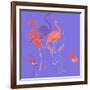 Flamingoes-Anna Platts-Framed Giclee Print